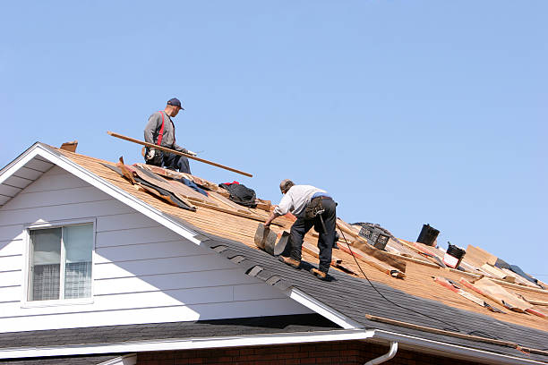 Best Emergency Roof Repair  in Truman, MN
