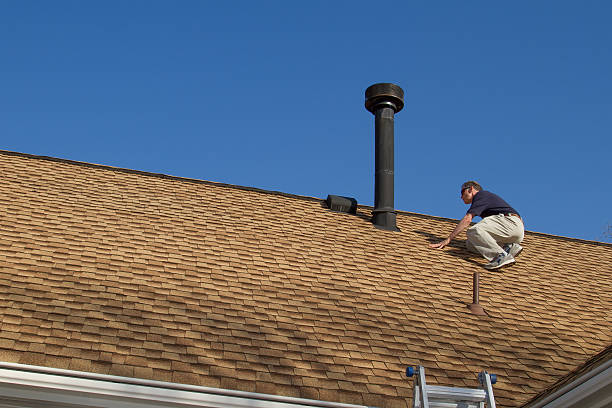 Best Flat Roofing  in Truman, MN