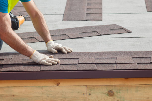 Emergency Roof Repair in Truman, MN